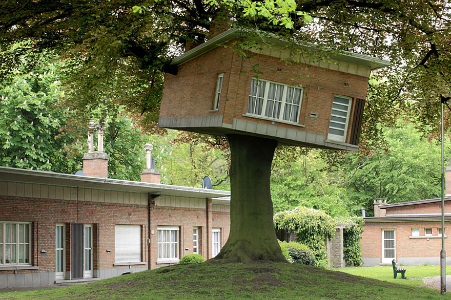 architecture-around-the-tree-2__880