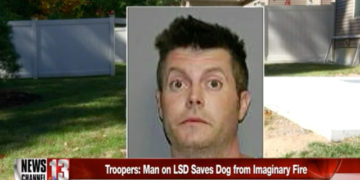 man-on-acid-rescues-dog-eroe