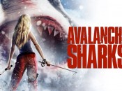 Avalance-Sharks-2013
