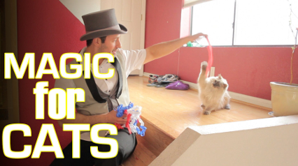 catsmagic