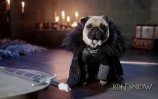 The_Pugs_of_Westeros.mp4 - VLC media player