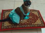 magiccatjasmine