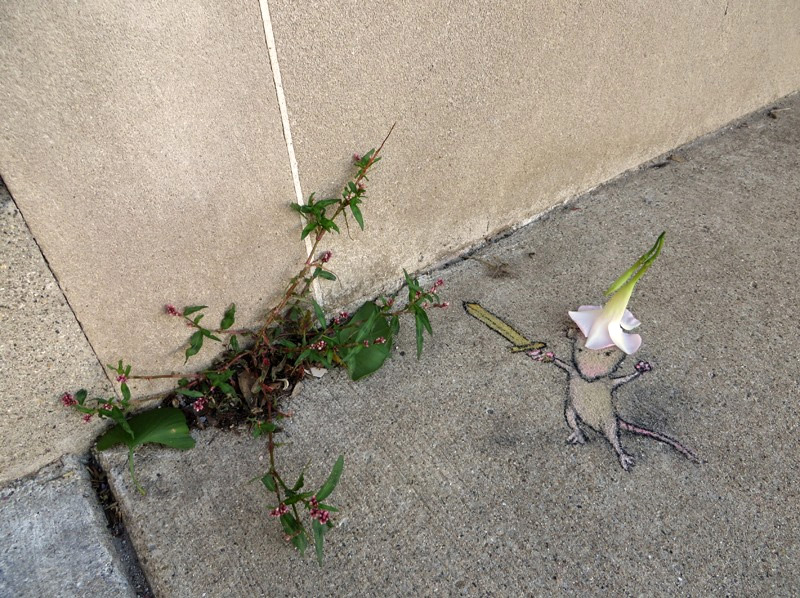 david-zinn (1)
