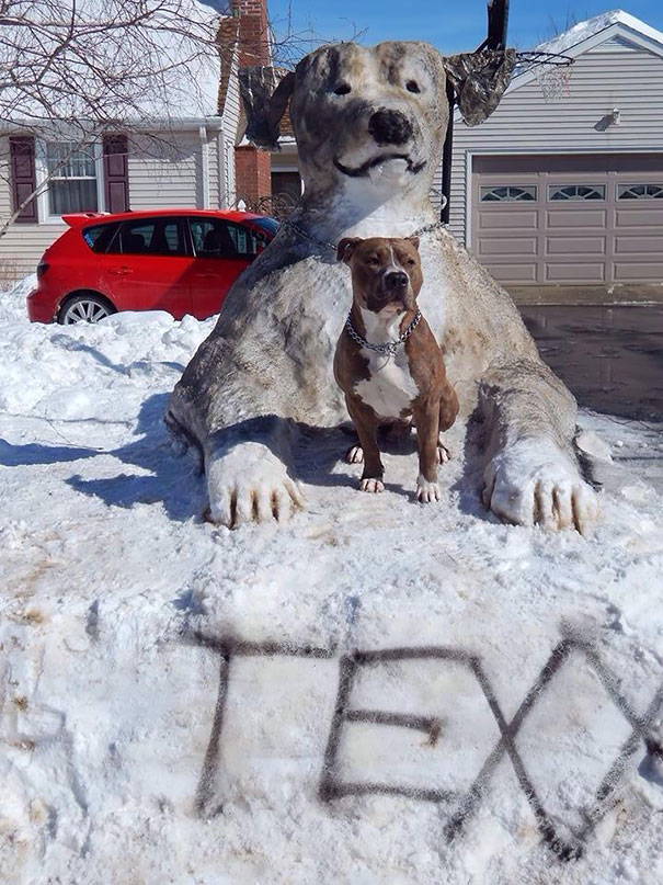 pet-snow-sculptures-5__605