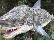 shark_plastic