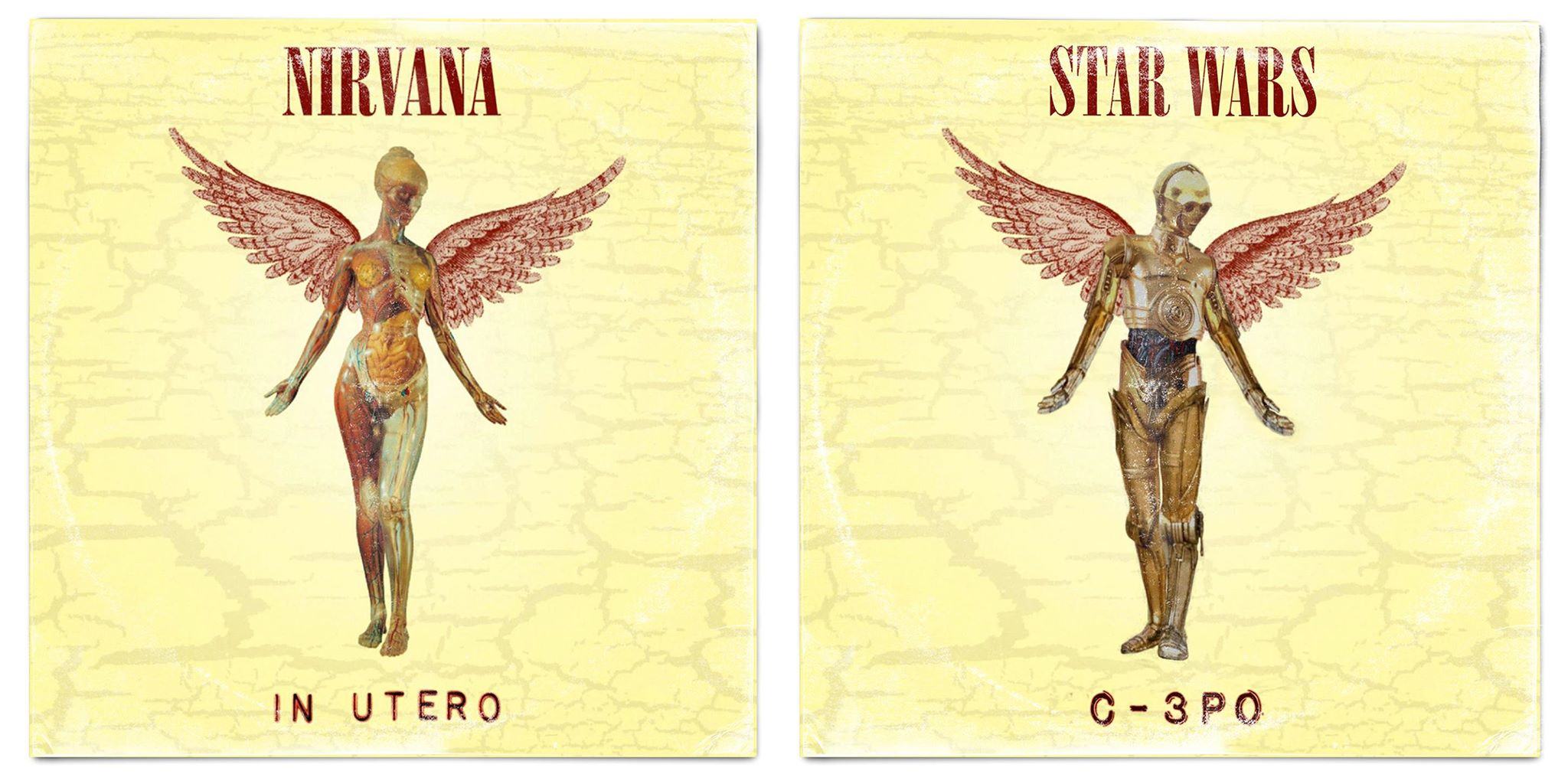 12401971_563971590422000_3778659117653712551_o-1