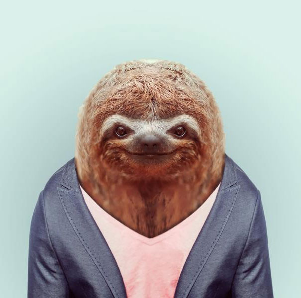 funny-zoo-animal-portraits-yago-partal-8