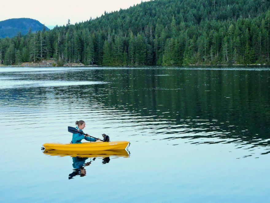 these-kittens-were-abandoned-but-now-go-on-epic-adventures-with-us-9__880