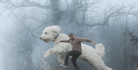 giant-dog-photoshop-adventures-juji-christopher-cline-76