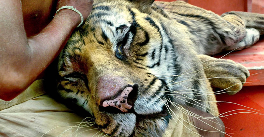 special-effects-movies-before-and-after-25